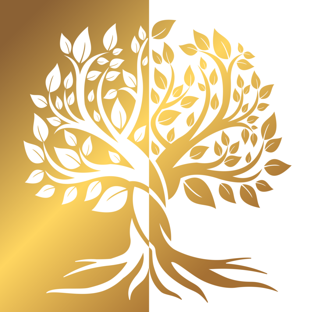 Nouveau nom, nouvelle impulsion : notre cabinet évolue